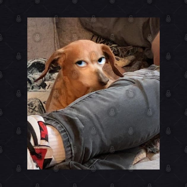 World's Best Weiner Dog Side-Eye by Bob Rose